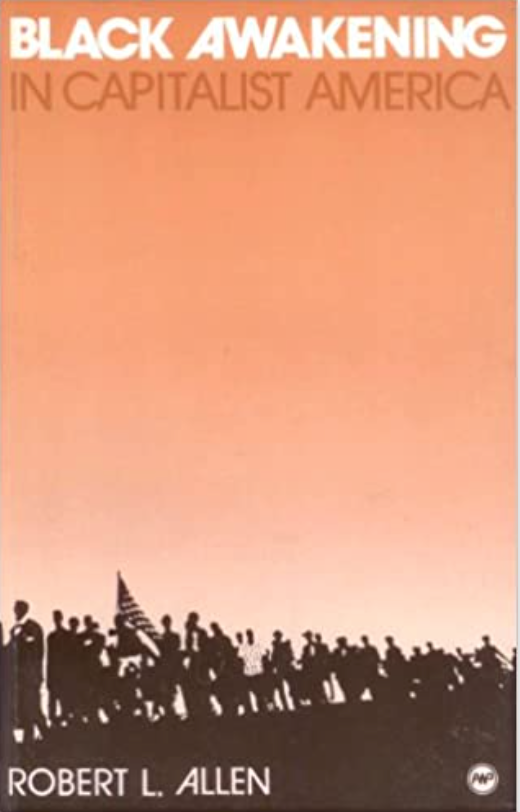 Black Awakening in Capitalist America: An Analytic History book cover