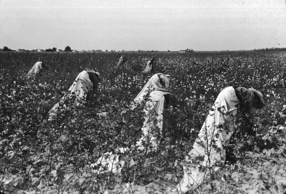 Whose cotton is it? Photographer: Russell Lee/Archive Photos/Getty Images