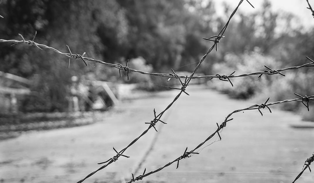 black and white photo with barbed wire in focus, RARE Workgroup