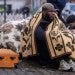African countries have been scrambling to evacuate their citizens from Ukraine since Russia sent troops across the border on Thursday [Wojtek Radwanski/AFP]