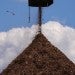 wood pellet pile