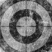 black and white target, Rice University Sociology RARE Workgroup